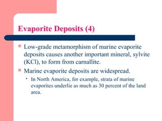 Evaporite Deposits (4)
 Low-grade metamorphism of marine evaporite
deposits causes another important mineral, sylvite
(KCl), to form from carnallite.
 Marine evaporite deposits are widespread.
 In North America, for example, strata of marine
evaporites underlie as much as 30 percent of the land
area.
 