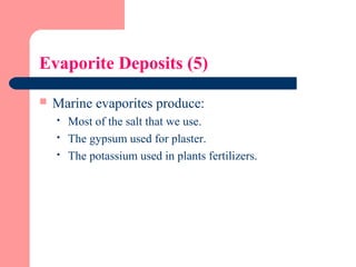 Evaporite Deposits (5)
 Marine evaporites produce:
 Most of the salt that we use.
 The gypsum used for plaster.
 The potassium used in plants fertilizers.
 