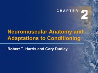 2 C H A P T E R Neuromuscular Anatomy and Adaptations to Conditioning Robert T. Harris and Gary Dudley 