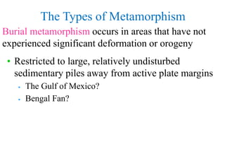 The Types of Metamorphism
Burial metamorphism occurs in areas that have not
experienced significant deformation or orogeny...