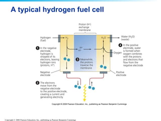 A typical hydrogen fuel cell 