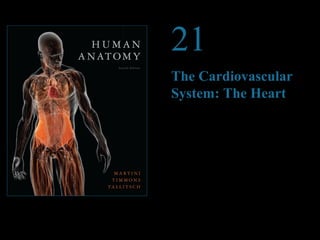 © 2012 Pearson Education, Inc. 
21 
The Cardiovascular 
System: The Heart 
PowerPoint® Lecture Presentations prepared by 
Steven Bassett 
Southeast Community College 
Lincoln, Nebraska 
 