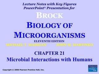 Lecture Notes with Key Figures
PowerPoint®
Presentation for
BROCK
BIOLOGY OF
MICROORGANISMS
ELEVENTH EDITION
MICHAEL T. MADIGAN JOHN M. MARTINKO
CHAPTER 21
Microbial Interactions with Humans
Copyright © 2006 Pearson Prentice Hall, Inc.
 