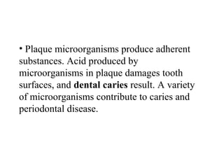 • Plaque microorganisms produce adherent
substances. Acid produced by
microorganisms in plaque damages tooth
surfaces, and dental caries result. A variety
of microorganisms contribute to caries and
periodontal disease.
 