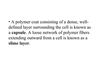 • A polymer coat consisting of a dense, well-
defined layer surrounding the cell is known as
a capsule. A loose network of polymer fibers
extending outward from a cell is known as a
slime layer.
 