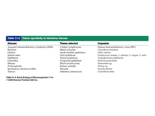 Microbiology Bio 127 Microbial Interactions with Humans (normal flora)