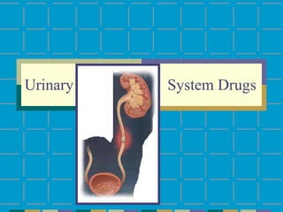 Urinary  System Drugs 