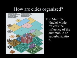 How are cities organized? The Multiple Nuclei Model reflects the influence of the automobile on suburbanization. 