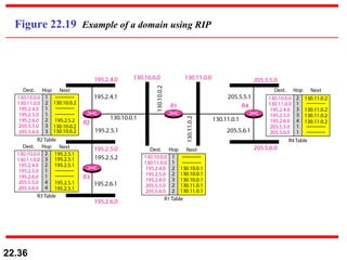 Figure 22.19  Example of a domain using RIP 