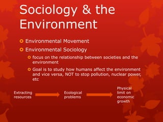 Image result for Environmental photography inspiration for beginners - Environmental Photography Inspiration For Beginners