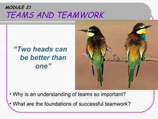MODULE 21
TEAMS AND TEAMWORK
“Two heads can
be better than
one”
• Why is an understanding of teams so important?
• What are the foundations of successful teamwork?
 