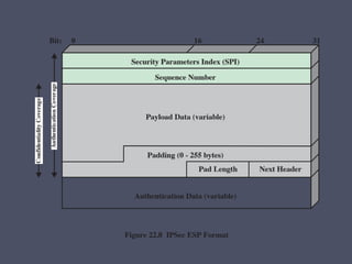 Chapter 22 Internet Security Protocols and Standards | PPTX