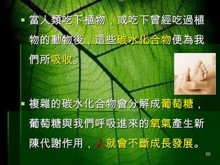 ? ֲ^ֲ
Ąᣬ@Щ̼ˮ
ա

? }s̼ˮֽǣ

c҂Ma
ꐴxã˾͕Llչ
50

 