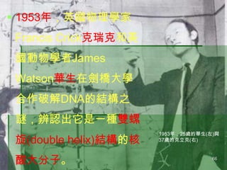 ? 1953꣬ӢW
Francis Crick˺
WJames
WatsonAڄW
ƽDNAĽY֮
iJһNp

(double helix)Yĺ
ӡ

1953꣬25qA()c
37qĿ()

66

 
