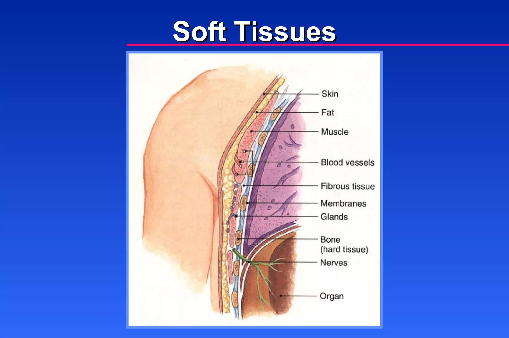 Soft Tissue Injuries | PPT