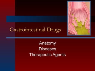 Gastrointestinal Drugs Anatomy Diseases Therapeutic Agents 