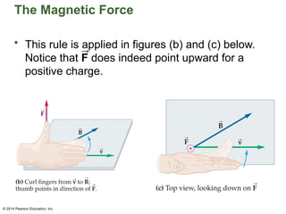 © 2014 Pearson Education, Inc.
The Magnetic Force
• This rule is applied in figures (b) and (c) below.
Notice that F does indeed point upward for a
positive charge.
 