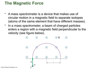 © 2014 Pearson Education, Inc.
The Magnetic Force
• A mass spectrometer is a device that makes use of
circular motion in a magnetic field to separate isotopes
(atoms of the same element that have different masses).
• In a mass spectrometer, a beam of charged particles
enters a region with a magnetic field perpendicular to the
velocity (see figure below).
 