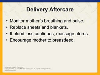 Delivery Aftercare
• Monitor mother’s breathing and pulse.
• Replace sheets and blankets.
• If blood loss continues, massage uterus.
• Encourage mother to breastfeed.
 