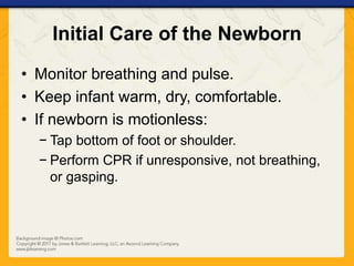 Initial Care of the Newborn
• Monitor breathing and pulse.
• Keep infant warm, dry, comfortable.
• If newborn is motionless:
− Tap bottom of foot or shoulder.
− Perform CPR if unresponsive, not breathing,
or gasping.
 