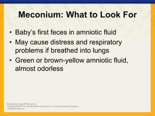 Meconium: What to Look For
• Baby’s first feces in amniotic fluid
• May cause distress and respiratory
problems if breathed into lungs
• Green or brown-yellow amniotic fluid,
almost odorless
 