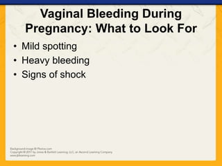 Vaginal Bleeding During
Pregnancy: What to Look For
• Mild spotting
• Heavy bleeding
• Signs of shock
 