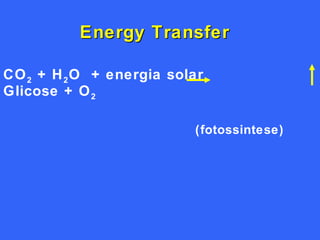 Energy Transfer CO 2  + H 2 O  + energia solar    Glicose + O 2     (fotossintese) 