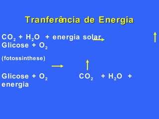 CO 2  + H 2 O  + energia solar    Glicose + O 2   (fotossinthese) Glicose + O 2  CO 2   + H 2 O  + energia  Tranferência de Energia 