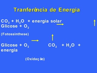 Tranferência de Energia CO 2  + H 2 O  + energia solar    Glicose + O 2   (Fotossinthese) Glicose + O 2  CO 2   + H 2 O  + energia    (Oxidação) 