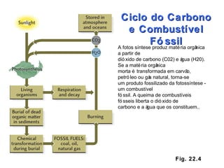 Fig. 22.4 Ciclo do Carbono e Combustível Fóssil A fotos síntese produz matéria orgânica a partir de dióxido de carbono (C02) e água (H20). Se a matéria orgânica morta é transformada em carvão, petróleo ou gás natural, torna-se um produto fossilizado da fotossíntese - um combustível fóssil. A queima de combustíveis fósseis liberta o dióxido de carbono e a água que os constituem.. 