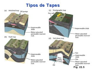 Fig. 22.5 Tipos de Tapes 