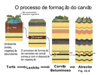Fig. 22.8 O processo de formação do carvão Turfa Lenhito Carvão  Betuminoso Atracito Ambiente úmido, vegetação abundante O processo de formação de camadas de carvão começa com a deposição de vegetação. 