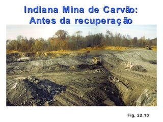 Fig. 22.10 Indiana Mina de Carvão: Antes da recuperação 