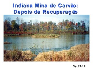 Fig. 22.10 Indiana Mina de Carvão: Depois da Recuperação 