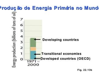 Fig. 22.13b Produção de Energia Primária no Mundo Developed countries (OECD) Developing countries Transitional economies 