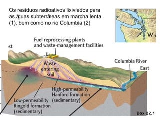 Box 22.1 Os resíduos radioativos lixiviados para as águas subterrâneas em marcha lenta (1), bem como no rio Columbia (2) 