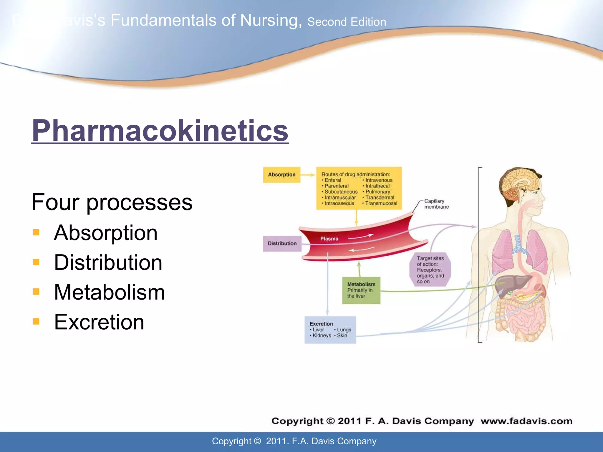 Pharmacokinetics Four processes Absorption Distribution Metabolism Excretion 
