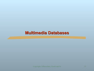 Multimedia Databases 