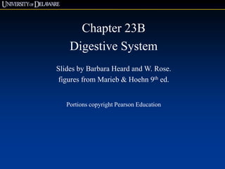 Chapter 23B
Digestive System
Slides by Barbara Heard and W. Rose.
figures from Marieb & Hoehn 9th ed.
Portions copyright Pearson Education
 