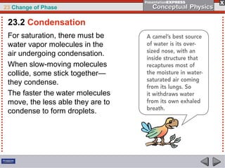 23 Change of Phase

 23.2 Condensation
 For saturation, there must be
 water vapor molecules in the
 air undergoing condensation.
 When slow-moving molecules
 collide, some stick together—
 they condense.
 The faster the water molecules
 move, the less able they are to
 condense to form droplets.
 