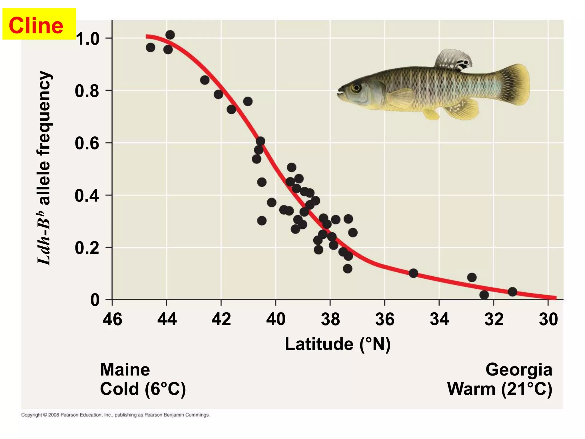 Cline
1.0
0.8
0.6
0.4
0.2
0
46 44 42 40 38 36 34 32 30
Georgia
Warm (21°C)
Latitude (°N)
Maine
Cold (6°C)
 