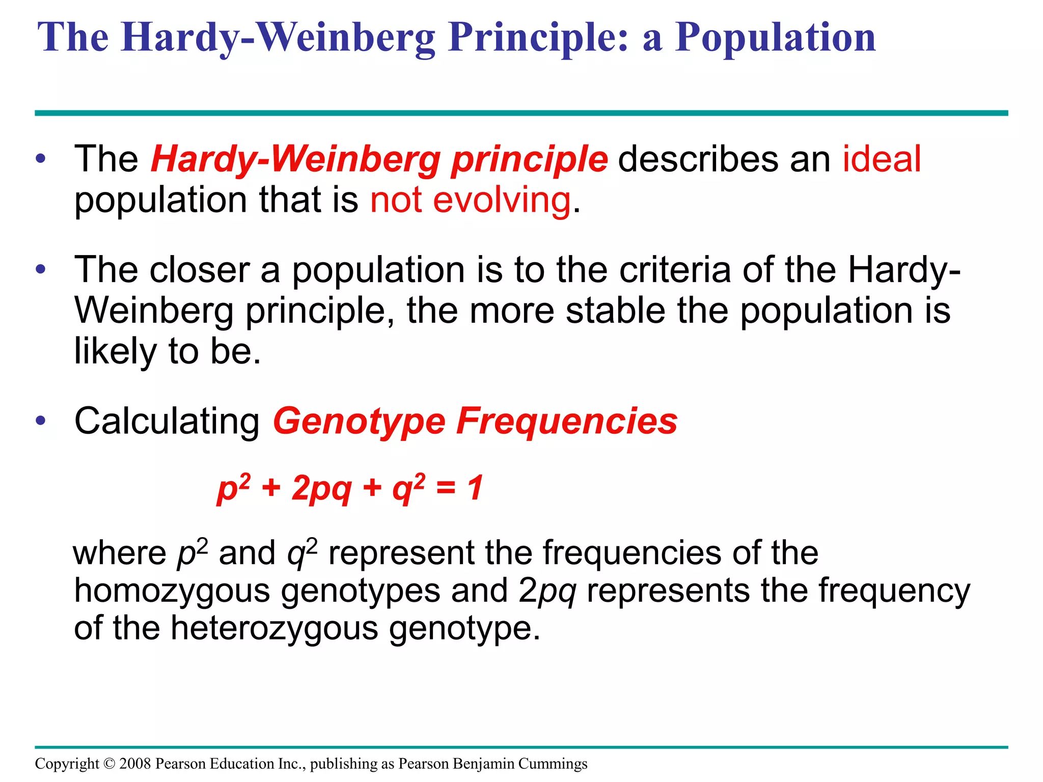 Copyright © 2008 Pearson Education Inc., publishing as Pearson Benjamin Cummings
The Hardy-Weinberg Principle: a Population
• The Hardy-Weinberg principle describes an ideal
population that is not evolving.
• The closer a population is to the criteria of the Hardy-
Weinberg principle, the more stable the population is
likely to be.
• Calculating Genotype Frequencies
p2 + 2pq + q2 = 1
where p2 and q2 represent the frequencies of the
homozygous genotypes and 2pq represents the frequency
of the heterozygous genotype.
 