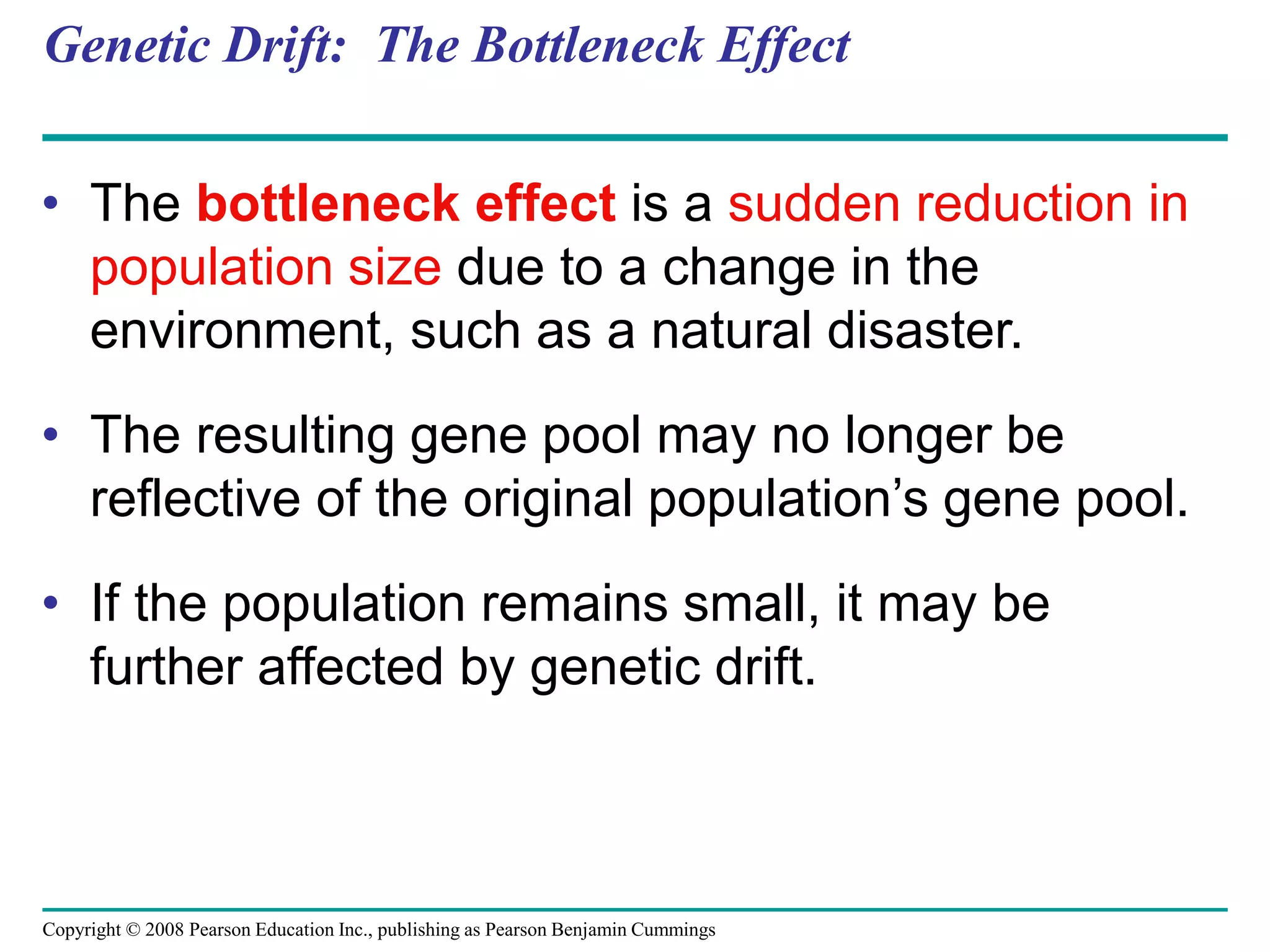 Copyright © 2008 Pearson Education Inc., publishing as Pearson Benjamin Cummings
Genetic Drift: The Bottleneck Effect
• The bottleneck effect is a sudden reduction in
population size due to a change in the
environment, such as a natural disaster.
• The resulting gene pool may no longer be
reflective of the original population’s gene pool.
• If the population remains small, it may be
further affected by genetic drift.
 