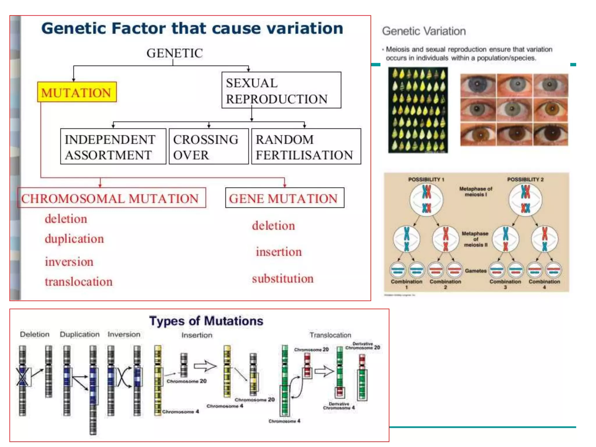 Copyright © 2008 Pearson Education Inc., publishing as Pearson Benjamin Cummings
 