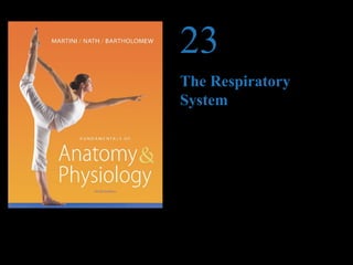 © 2012 Pearson Education, Inc.
PowerPoint®
Lecture Presentations prepared by
Jason LaPres
Lone Star College—North Harris
23
The Respiratory
System
 