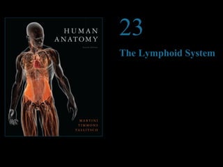 © 2012 Pearson Education, Inc.
23
The Lymphoid System
PowerPoint®
Lecture Presentations prepared by
Steven Bassett
Southeast Community College
Lincoln, Nebraska
 