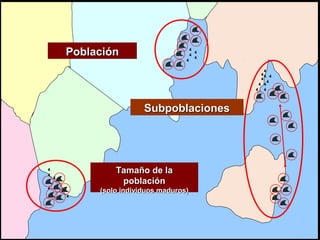 IUCN (International Union for Conservation of Nature)
Tamaño de laTamaño de la
poblaciónpoblación
(solo individuos maduros)(solo individuos maduros)
SubpoblacionesSubpoblaciones
PoblaciónPoblación
 