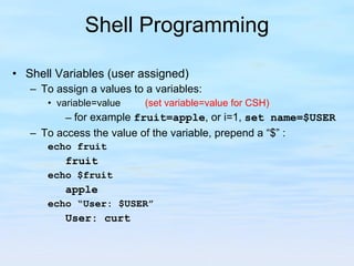 Shell Programming Shell Variables (user assigned) To assign a values to a variables: variable=value  (set variable=value for CSH) for example  fruit=apple , or i=1,  set name=$USER To access the value of the variable, prepend a “$” : echo fruit fruit echo $fruit apple echo “User: $USER” User: curt 