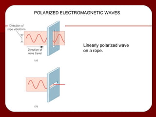 Linearly polarized wave on a rope. POLARIZED ELECTROMAGNETIC WAVES 