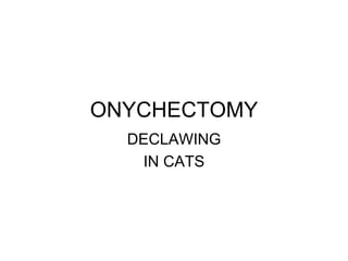 ONYCHECTOMY
DECLAWING
IN CATS
 